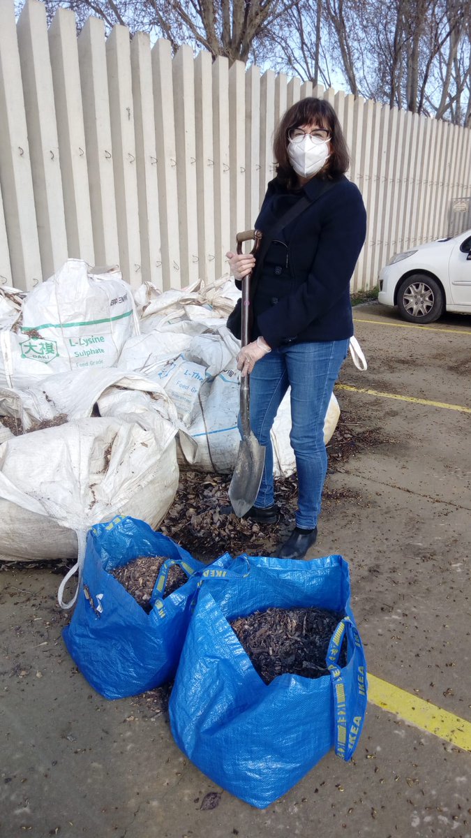 lleidaenverd's tweet photo. 🍃🍂🐛Dissabte vam repartir material estructurant (restes de poda picada) als usuaris que ja tenen el compostador a casa seva i no disposen d'aquest material. 

#Jofaiglleidaenverd #compostatgelleida #soillovescompost https://t.co/4Me00TgKTO