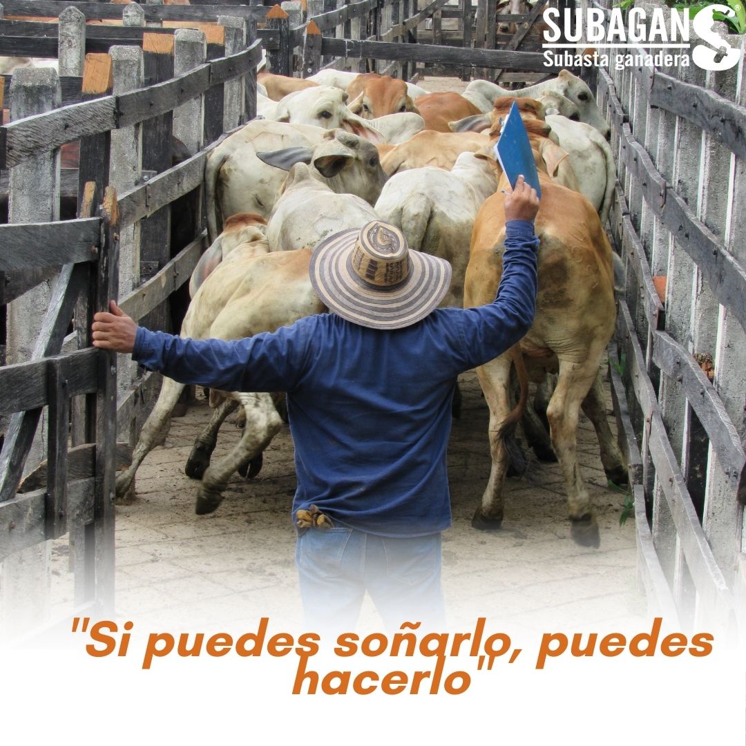 SubaganSA's tweet image. Es momento de crecer...