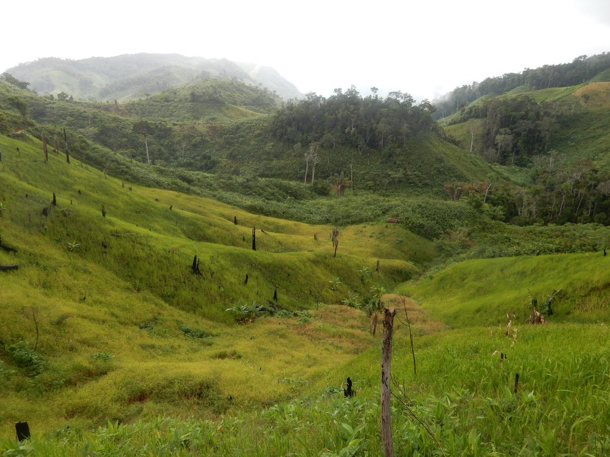 4) However, PA establishment seems to also have driven down the supply of locally-relevant ES, such as food crops (i.e. rice) and bequest value, in this context understood as the capacity these landscapes have for supporting a rice farmer identity across generations.