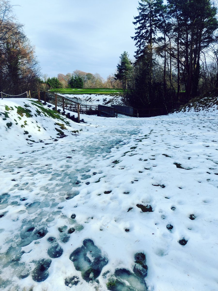 Baberton GC - Course Report tweet media