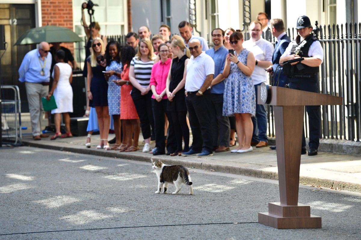 Larry arrived from Battersea Dogs and Cats Home on Feb 15, 2011.It was hoped that Prime Minister David Cameron's newest team member would dispense of a rat that had been spotted scuttling past the famous door of Number 10 Downing Street