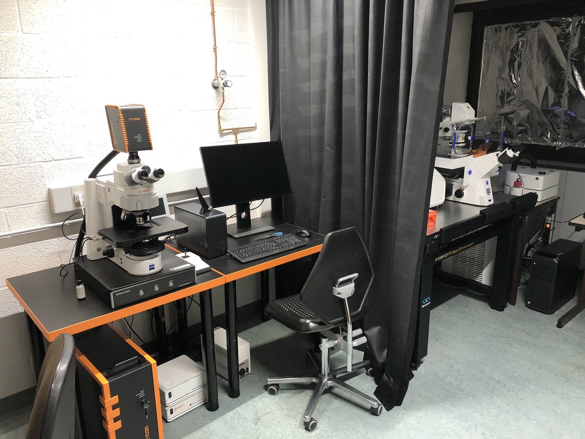 Renard Henri-François (@renardhenrifra1) on Twitter photo And the new beast iiiis... Steadycon from <a href="/Abberior/">Abberior</a> 🤩 In demo at <a href="/UNamur/">UNamur</a> <a href="/narilis_namur/">NARILIS</a> until 4th March! Many thanks to <a href="/FEghiaian/">Frédéric EGHIAIAN</a> 👌🏻 Now let’s play a bit! 😎 And the new beast iiiis... Steadycon from <a href="/Abberior/">Abberior</a> 🤩 In demo at <a href="/UNamur/">UNamur</a> <a href="/narilis_namur/">NARILIS</a> until 4th March! Many thanks to <a href="/FEghiaian/">Frédéric EGHIAIAN</a> 👌🏻 Now let’s play a bit! 😎