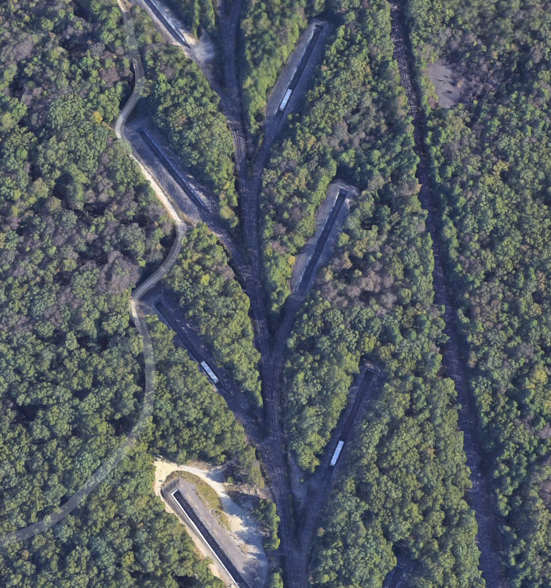 Each one of the "leaves" is a special, sunken track designed to absorb the impact of an explosion in case something were to happen with any of the boxcars. You can even see some stored cars here on Maps, with a nice close view of the sunken track as well.