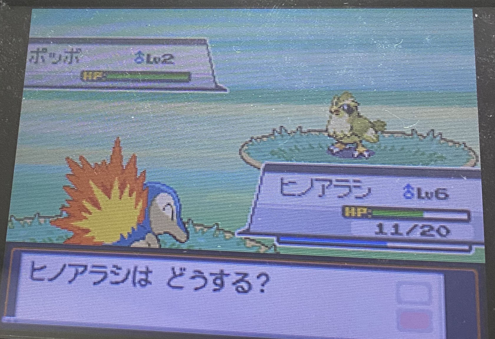 チャッピー は 待ってやばすぎる ハートゴールドやってたら まだモンスターボールすら貰ってない段階でポッポの色違い出たんだけどどうしよう T Co 97jxysjwor Twitter