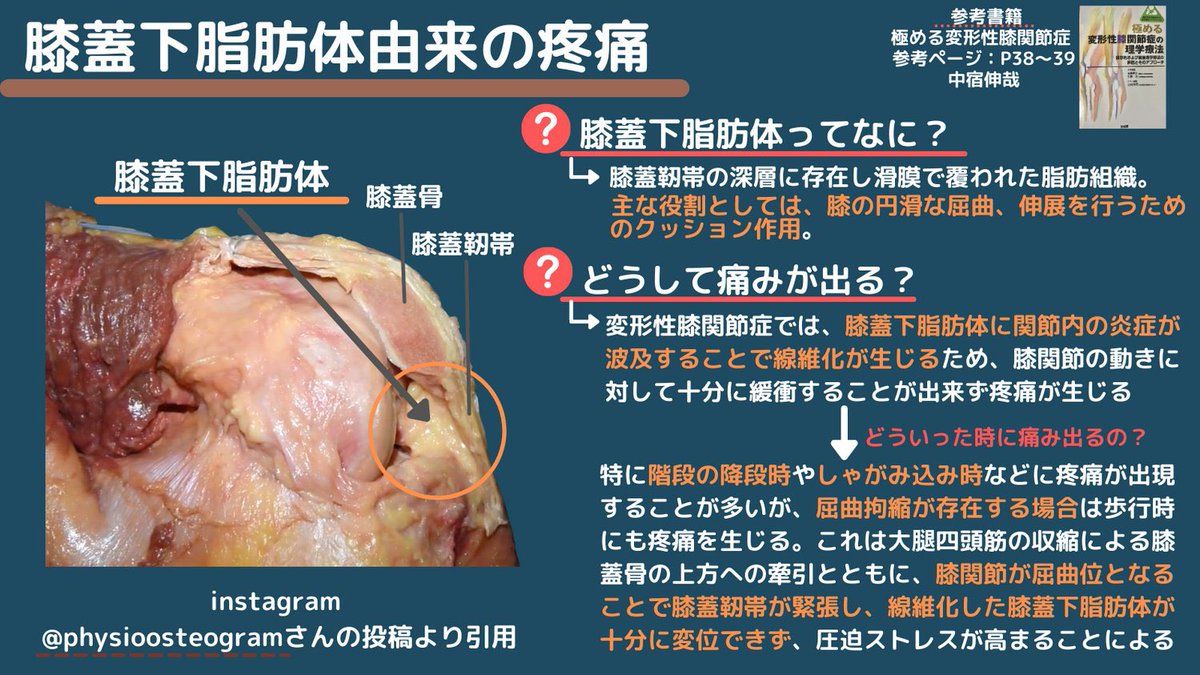 中本陽介 Xugwgoqcgfias2o Twitter