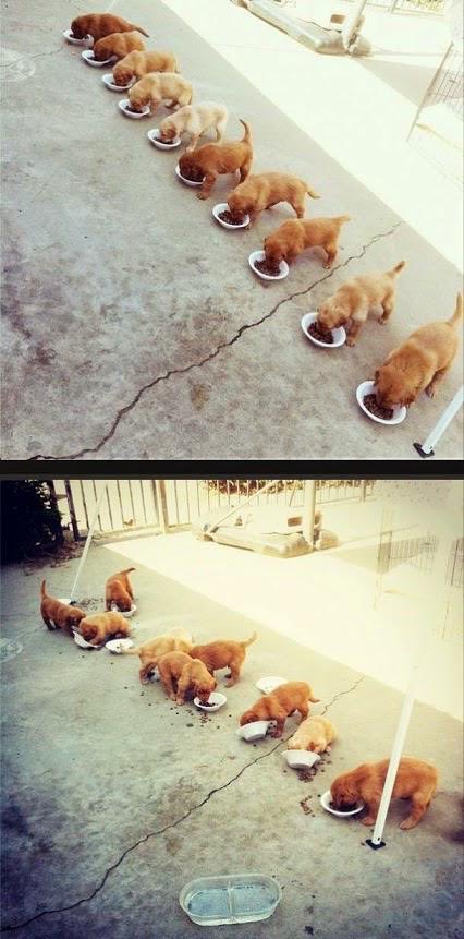 copyconstruct's tweet image. Mental models vs how software actually works.