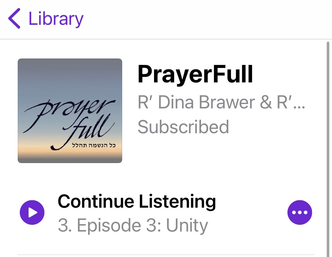 A personal and immersive invitation to prayer, offering solace, and an individual anchoring:
jns.org/wire/two-rabbi…