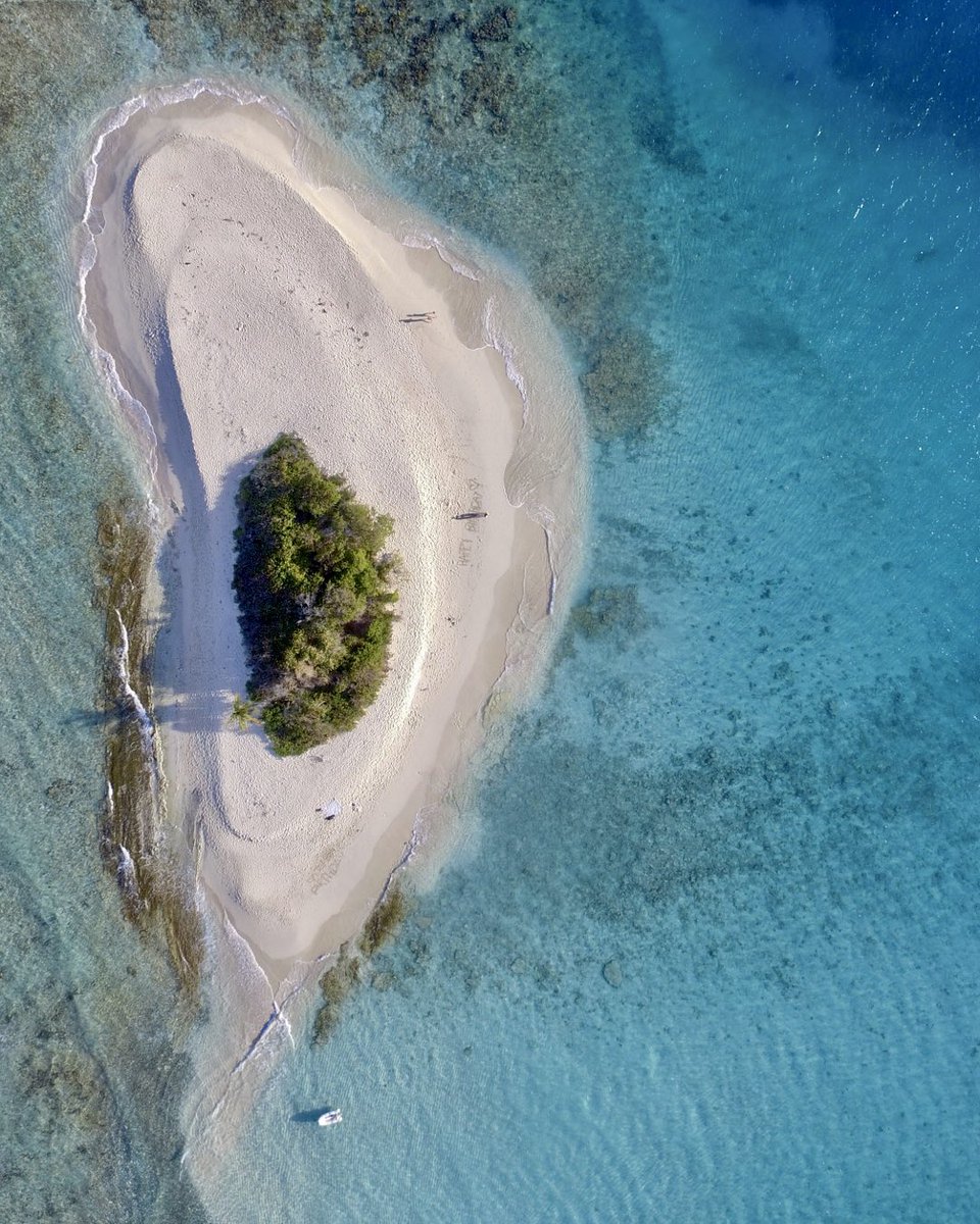 yachtissimo's tweet photo. πππΉSANDY SPIT in the BVIβs
https://t.co/pLTQfSQ3WF
β€ β€ β€
#yachtissimo #devilsbay #virginislands #tortola #britishvirginislands #virgingorda #trunkbay #marinacay #saltisland #stjohn #usvi #springbreak #caribbean #bvi #yachtmaster #sandyspit #traveltrends #photography https://t.co/V3K4de4k7p
