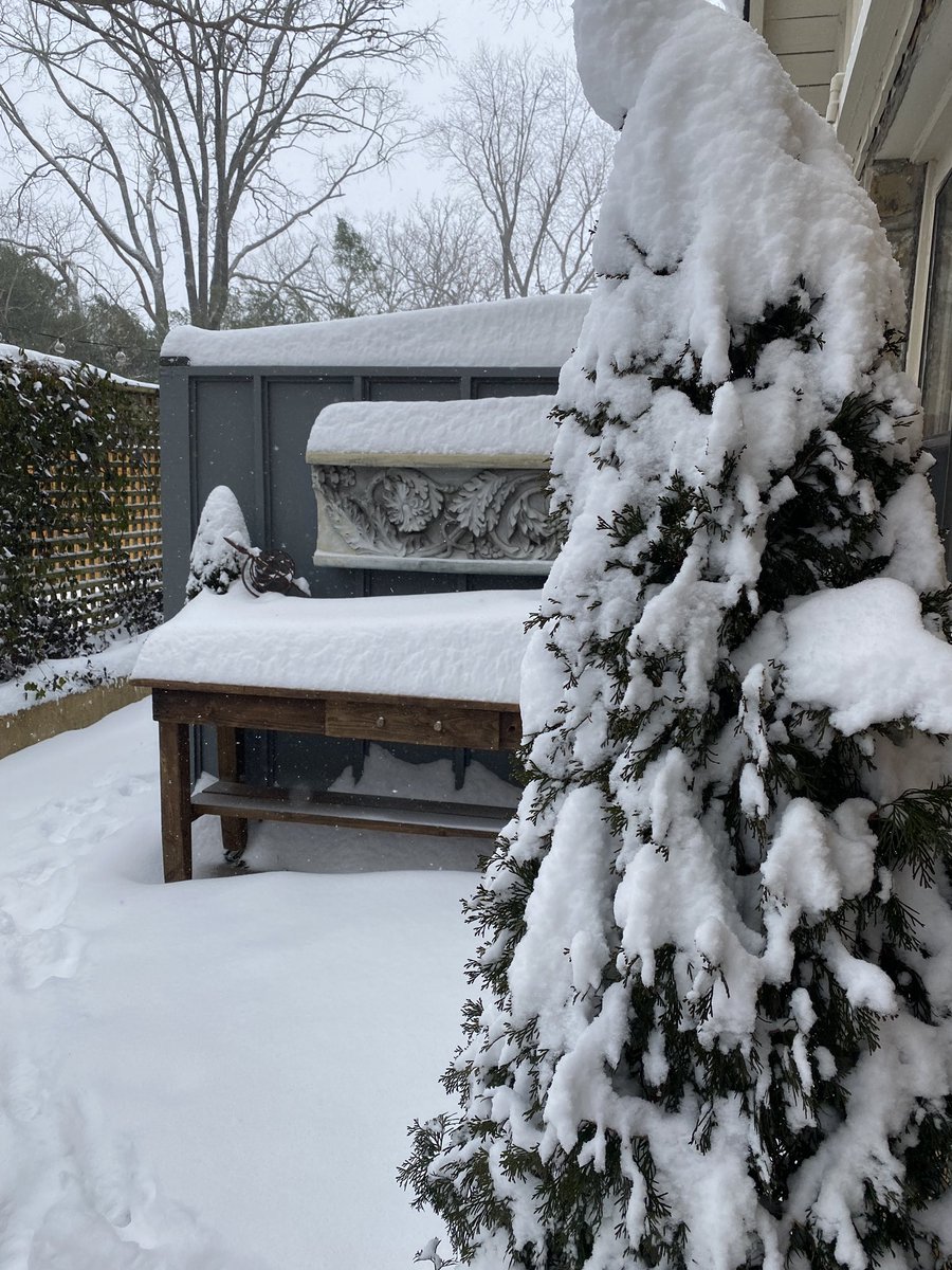 In my almost 16 years in Arkansas, I can’t remember seeing snow like this in Little Rock 😱 Can we go skiing now? #arwx