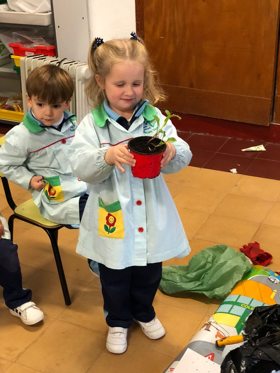 CRAGuadalmedina's tweet photo. Plantación en nuestra escuela de Salinas. Ya estamos preparando nuestro @huertoescolar @CRAGuadalmedina @fvictoria_es https://t.co/vQ4SqDYrZj