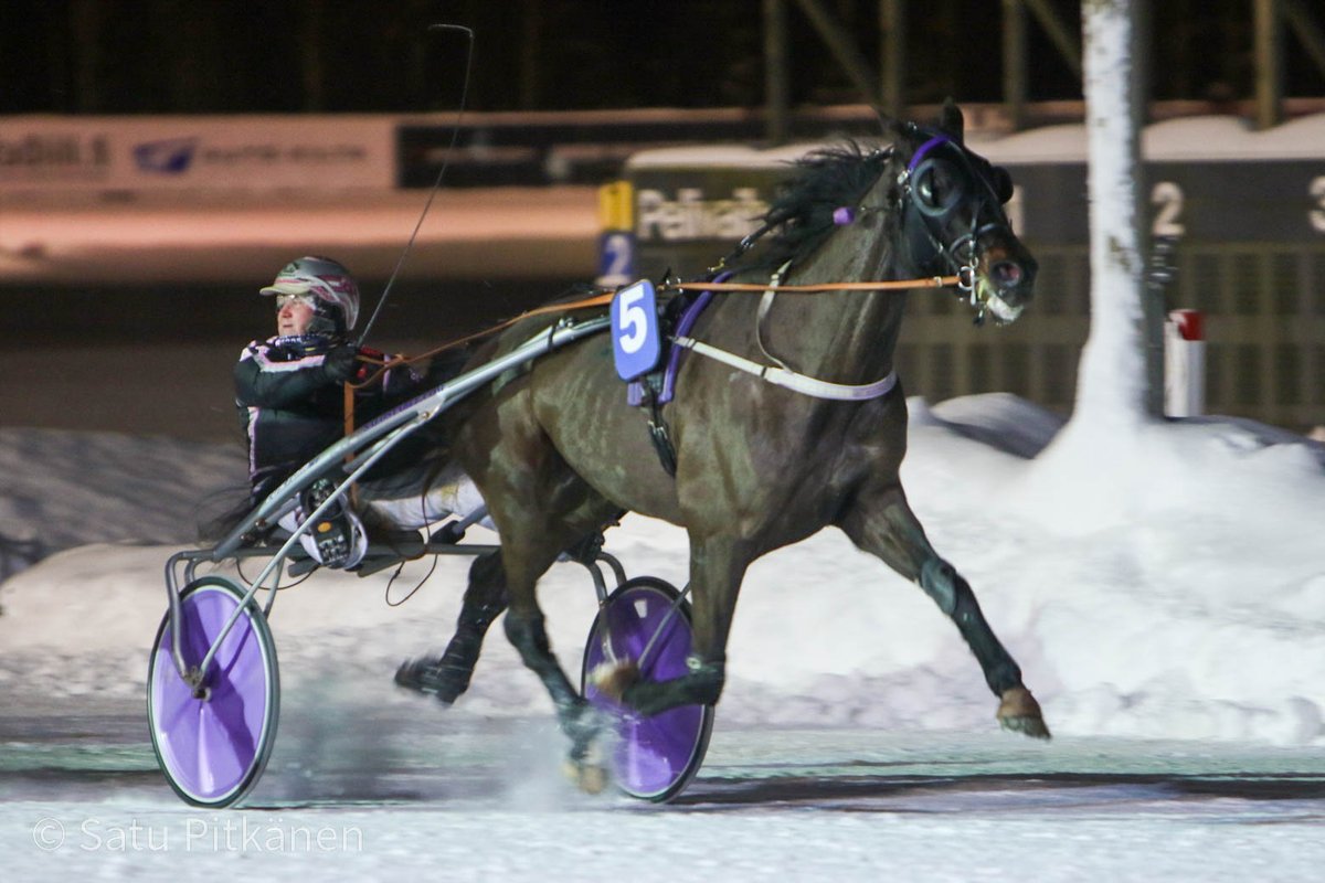 LappeenRavirata's tweet photo. Toisen lähdön voitto merkattiin Salo Stablen Glamour Ariosolle, jota ohjasti Antti Teivainen. Marja Peura Laukaalta on kasvattanut ja omistaa ruunan. #ravit #lappeenravit #lappeenravirata https://t.co/M5aijGmJDy