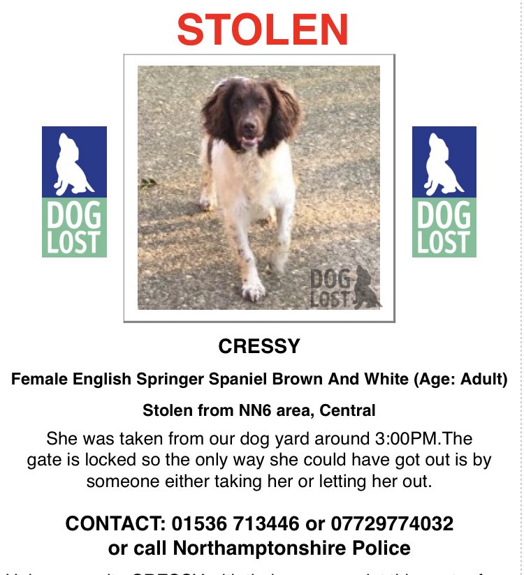 CREASY still missing from #Northamptonshire have you seen her? doglost.co.uk/dog-blog.php?d… #MakeChipsCount create a centralised database for missing dogs & cats + make it a legal obligation for veterinarians to scan & check microchips at pets 1st presentation petition.parliament.uk/petitions/5515…