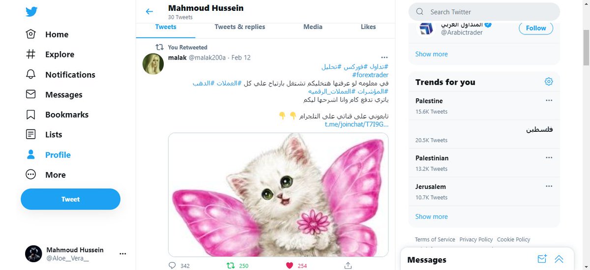 Mahmoud tweet media