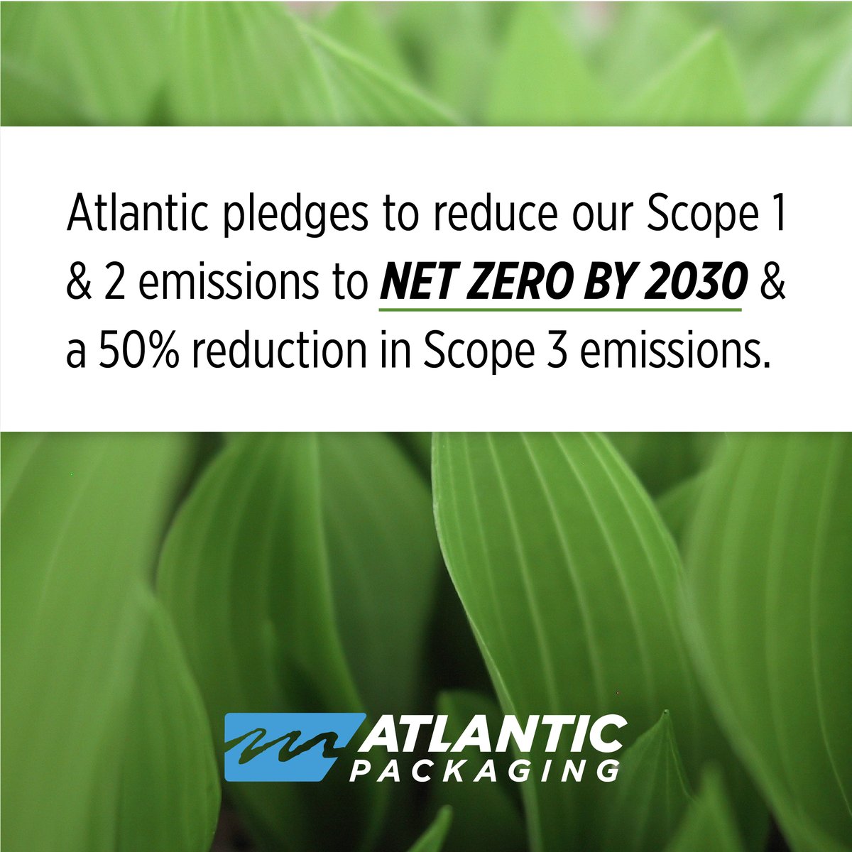 Sustainability goals are more important than ever. Discover how we're reducing our own environmental impact, and how we can help you reduce yours through smarter, more efficient, and recyclable solutions atlanticpkg.com/sustainability…