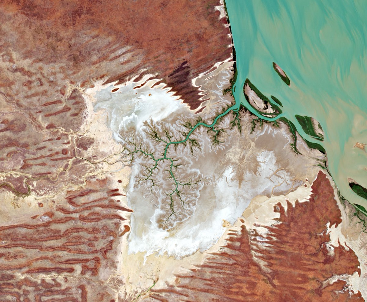 ESA Earth Observation tweet media