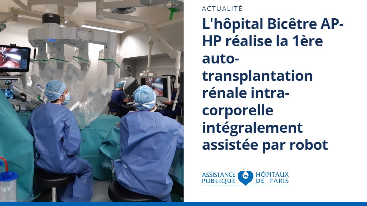 [Actualité] Réalisation de la première auto-transplantation rénale intra-corporelle intégralement assistée par robot à l’@Hopital_Bicetre @APHP aphp.fr/contenu/realis…