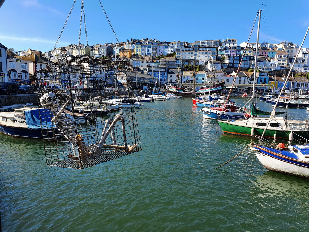 paulmichael_uk's tweet photo. Brixham Harbour - summer 2020

This week's theme is phone photos. With phone cameras now being so good, they're photos are worth a shout-out
'
'
'
'
'
#PhonePhotos #Devon #Brixham
#WalkDevon #Hike #Hiking #PhotoOfTheDay https://t.co/mx7dqgyRIP