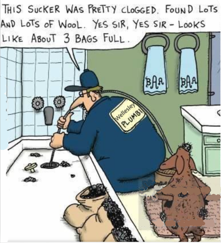 WellesleyPlumb's tweet photo. Clogged Drain? https://t.co/FYmXg7dsTE