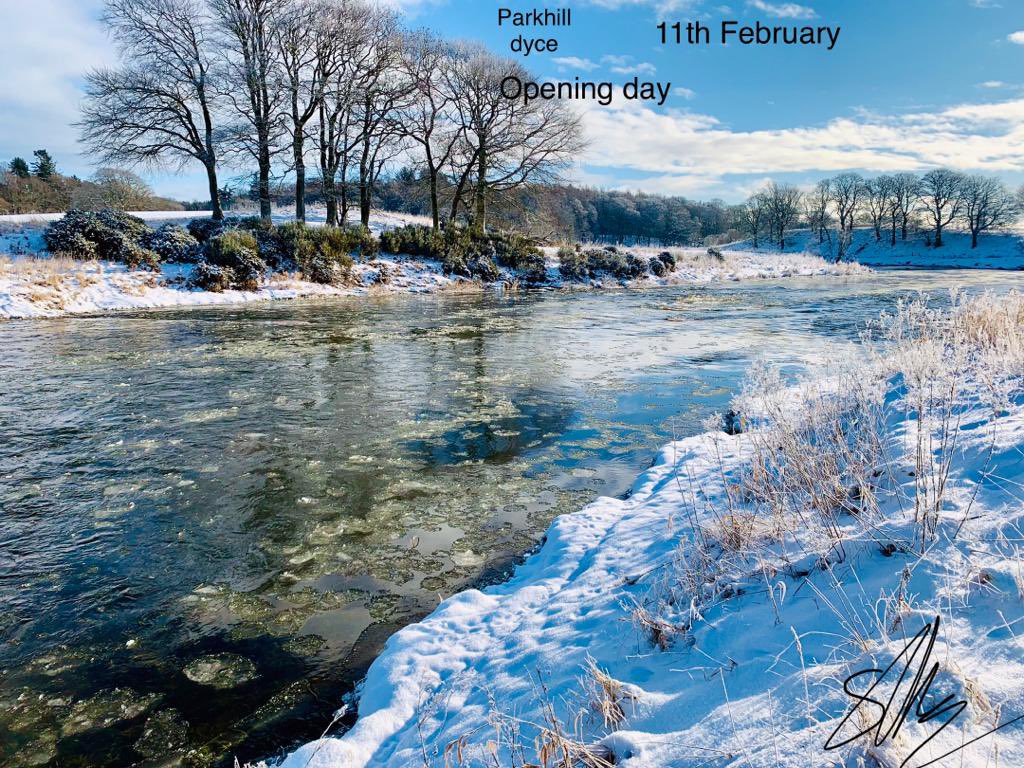 The River Don tweet media