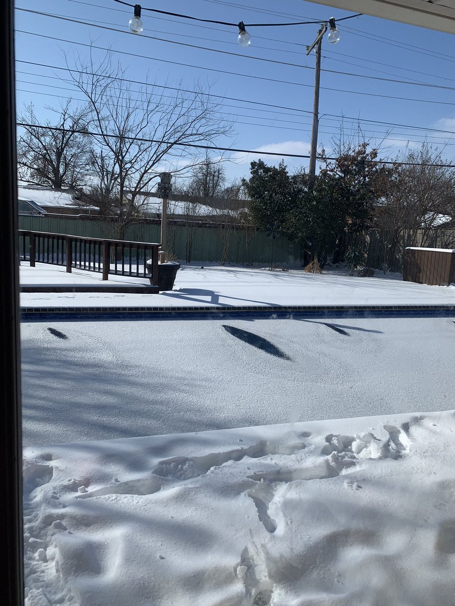 brooke581's tweet image. #PoolUpdate