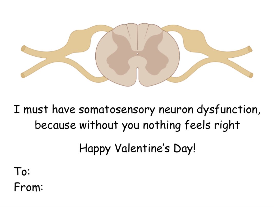 Kelsey Clausing tweet media