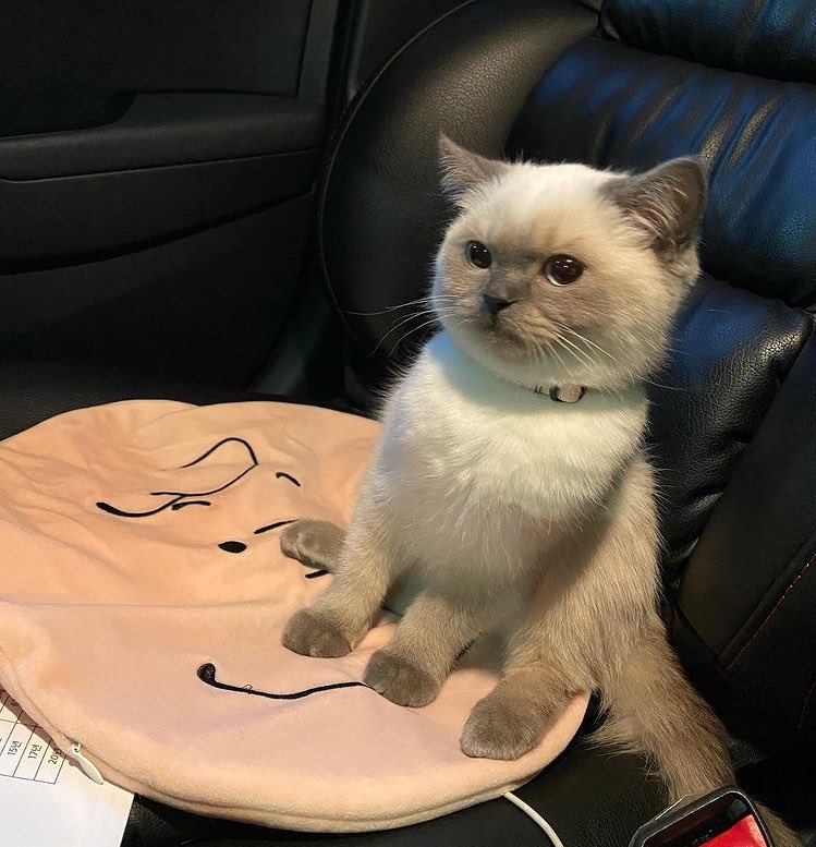 ตอนนี้หลงน้องคนนี้มาก มาเอารัย🤩