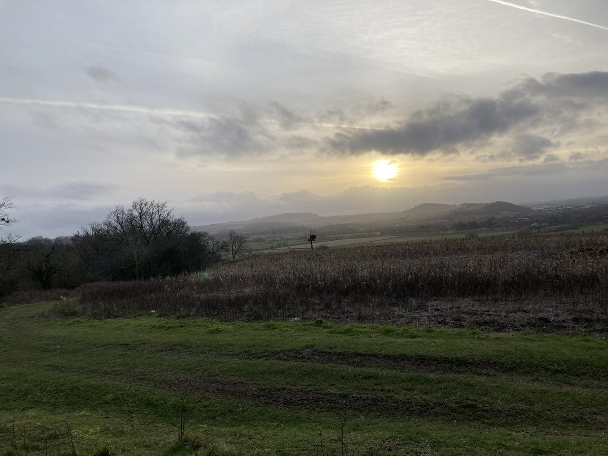 FF_Cricket's tweet image. Looking after the brain #muddyrun #herefordshire #getoutside @EmArlott next time? 🥇🏃🏽‍♀️