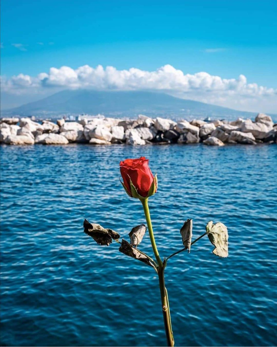 igerscampania® tweet media