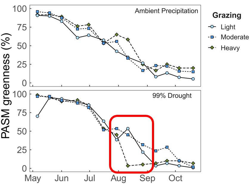 Check it out: Conservative grazing regimes sustain palatability of dominant grass species even under an extreme multi-year drought. #DroughtOnTheRange #RanchingUnderDrought