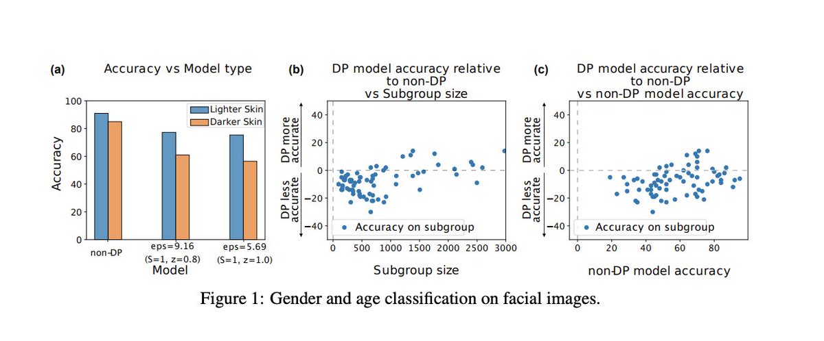 Models which are guaranteed to be differentially private introduce disparate impact on model accuracy. https://arxiv.org/pdf/1905.12101.pdf and https://bit.ly/3dgOfCs 