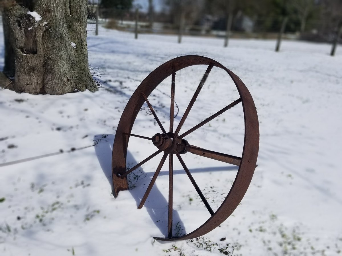 #photography #SouthTexas #2021PolarVotex #11degrees