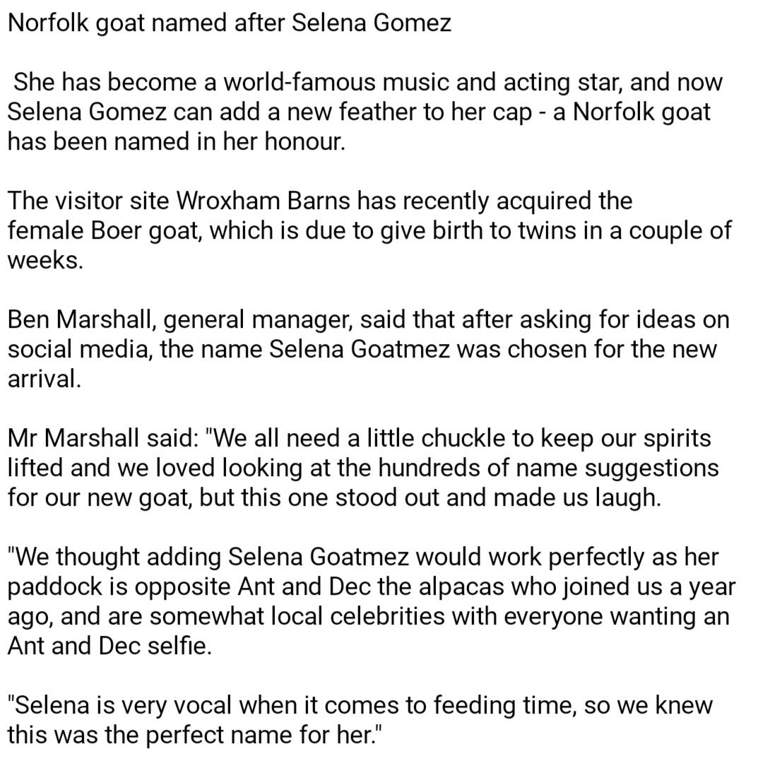 _selenagomezecu's tweet photo. Norfolk goat named after Selena Gomez⁣
⁣
🐐 Cabra de Norfolk nombrada en honor a @selenagomez

https://t.co/70k4p0V5tE https://t.co/XEt2grjwIX