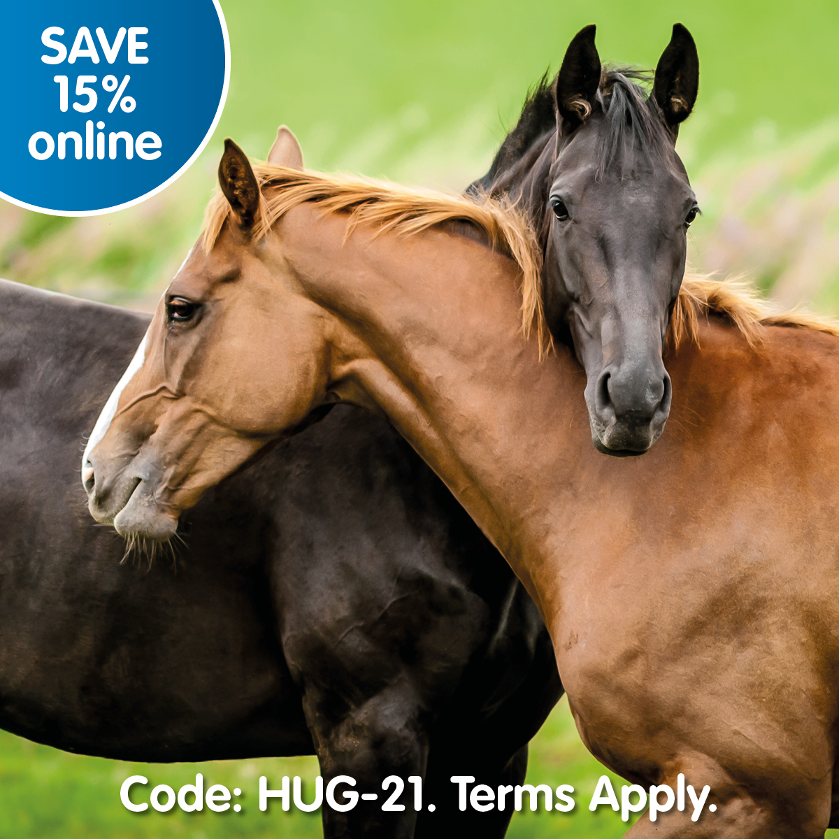 SAVE 15% | Ends Tonight! - mailchi.mp/bbebc58dcc9d/v…