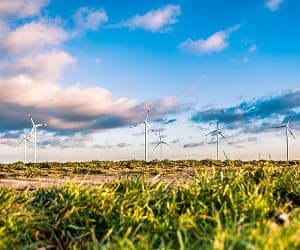 redmutis's tweet photo. Apostándole a asegurar la sostenibilidad ambiental.@utboficial 
https://t.co/Nb8oHlp0Ga https://t.co/zH3ec7QnfP