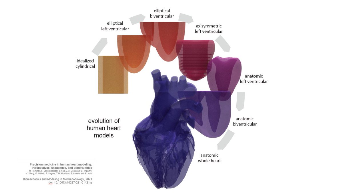 We start by mapping out the history of anatomical, physical, and constitutive human heart models throughout the past three decades. 3/n