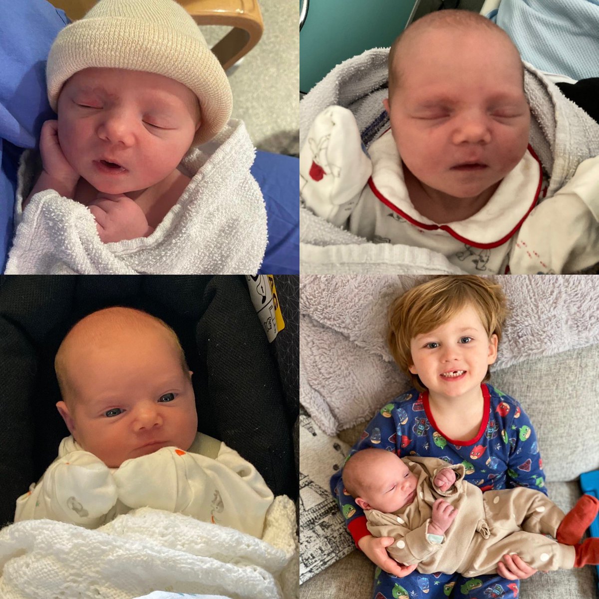 Laura Podger tweet media