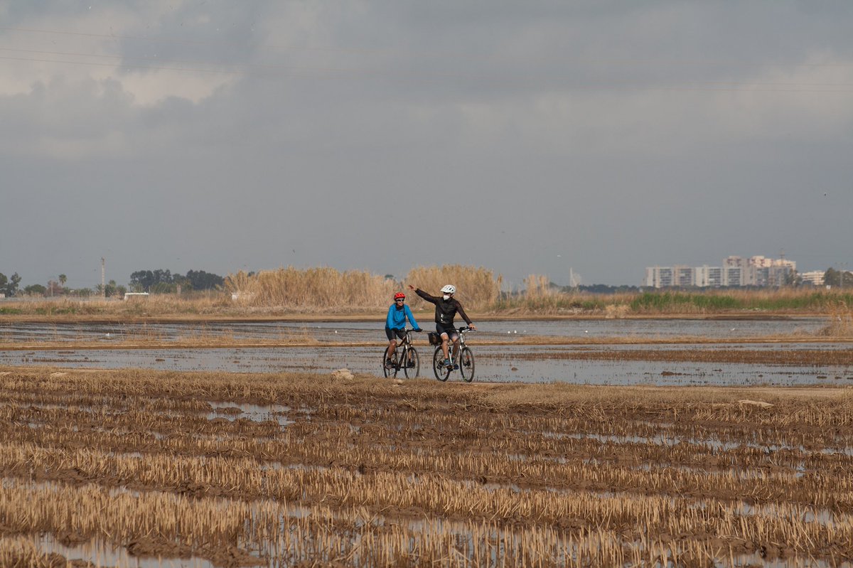 loyolapvm's tweet photo. Esta mañana. Paseantes y deportistas entre los arrozales de L’Albufera de Valencia. 

El Palmar (Valencia) https://t.co/NMbiS9dCjB