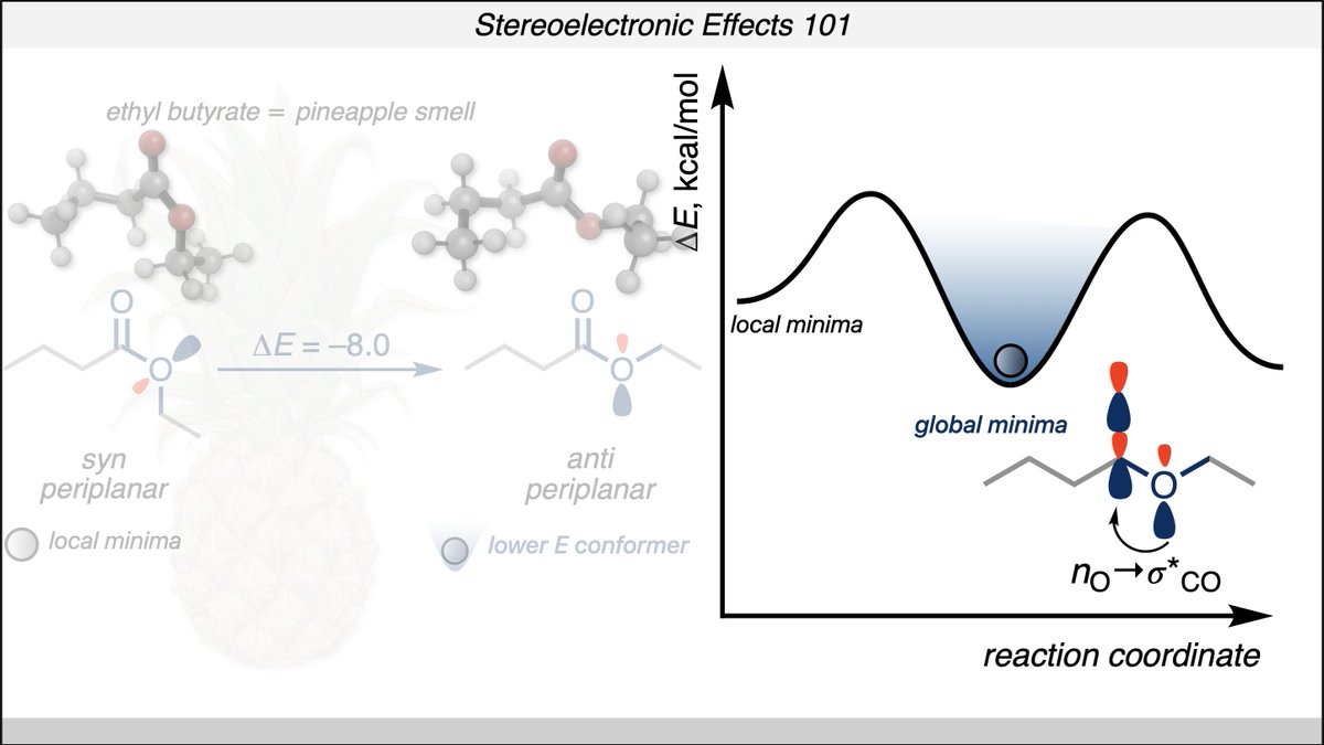 I also say that "molecules are lazy..." which is to say that, for a myriad of reasons, molecules will tend to stay in their most comfortable conformations (this is a slide from my talk where I talk about pineapples too. it's complicated). [2/6]