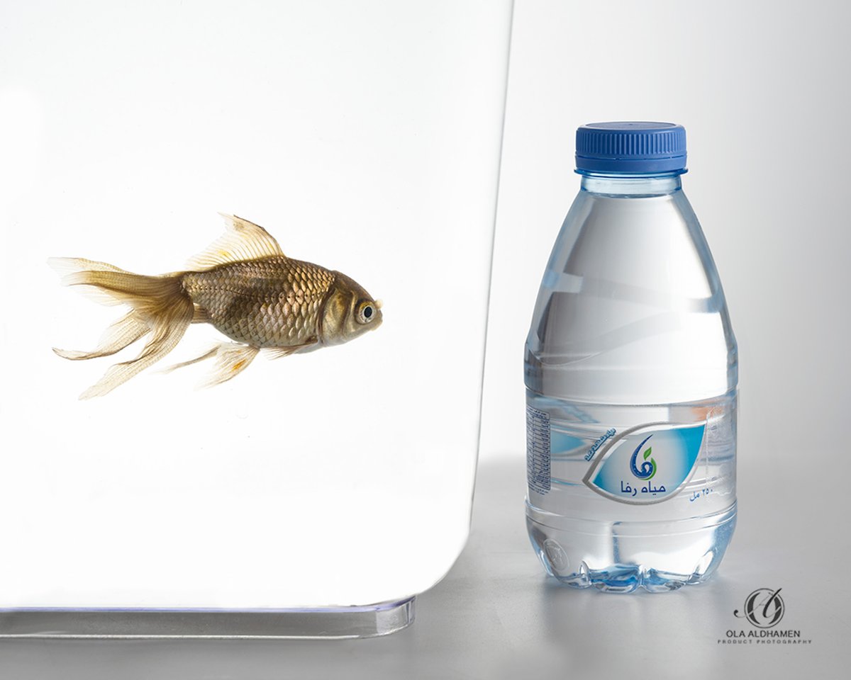 Ola_Dhamen's tweet photo. التصوير لشركة مياة رفا

#water #watercompany #bottledwater #ksa #foodphotography #productphotography #damamm #khober #qatif https://t.co/qMUfQI5eQO