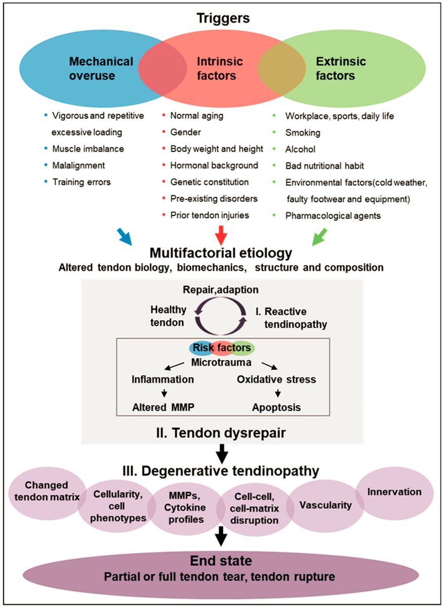 Physio Meets Science tweet media