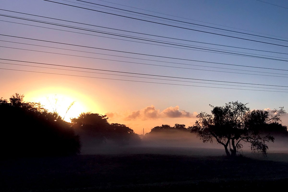 Morning Walks
Project 365 - February 10, 2021
Follow along on my blog for my year-long journey back into photography. 
project365-jody.blogspot.com/2021/02/projec…