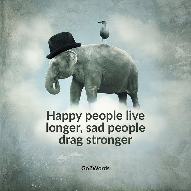 c_sgeorge's tweet photo. #rePLANOLY @go2words
.
.
.
 #quote #words #true #life #love #feel #expectationsvsreality #writingcommunity #expectations #writersofinstagram  #feelingmyself #friendsquotes #introvertquotes #relatablequotes #happinessquotes #simplicityquotes #wisdomquotes #bestfriendquotes #experi https://t.co/EjyeBOgAQ5