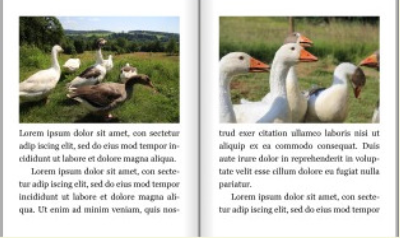 PrinceXML tweet media