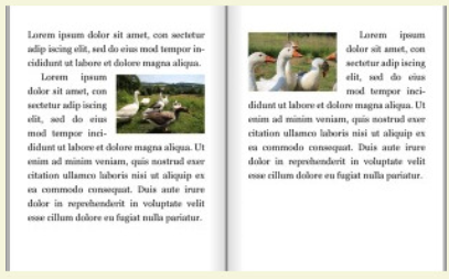 PrinceXML tweet media