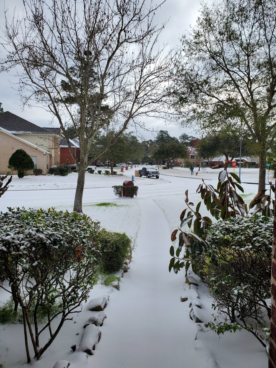 Freddy_licious's tweet photo. Houston, TX at 14 degrees this morning. 4" of snow. Front yard and back yard. Never saw this in my life while living here. High of 19 degrees today. Low of 8 degrees tonight. Unprecedented! https://t.co/q9XKD2Xe3w