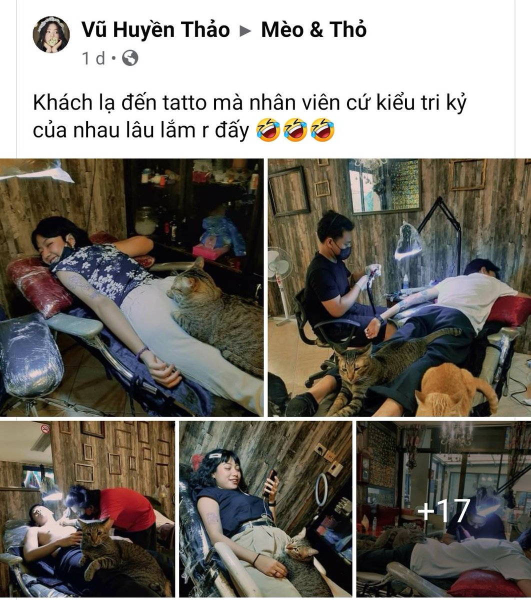 gatitos_qctd's tweet photo. Excelente servicio ✨ https://t.co/igLorklo7v