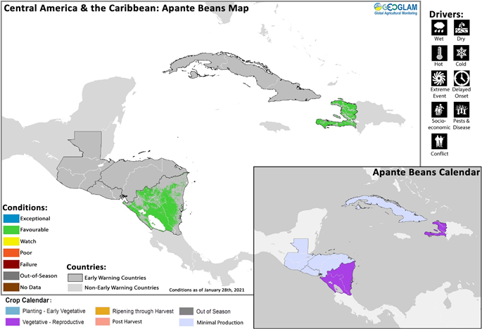 GEOCropMonitor's tweet photo. In #CentralAmerica, crop losses from #HurricaneEta and #HurricaneIota impacted final Segunda yields across parts of #Nicaragua, #Guatemala, and #Honduras. Apante season bean crops are developing under favorable conditions. #CM4EW report available at https://t.co/8NjLa4b76x https://t.co/6mpfKGyGUT