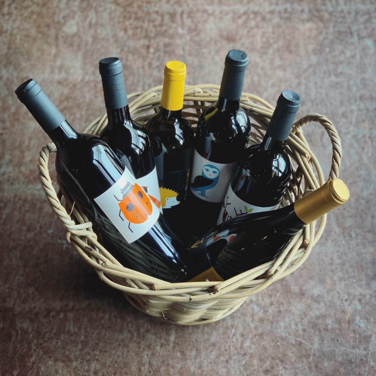 Ja has comprat el lot amb els vins de la nova anyada? 🤗 El 5 de març farem un tast virtual perquè els provis! 

Per 𝟒𝟓 𝐞𝐮𝐫𝐨𝐬, t'enviem 6 vins, obtindràs un tast per a 2 persones al celler i rebràs un enllaç per assistir al nostre primer tast de vins virtual. T'ho perdràs?