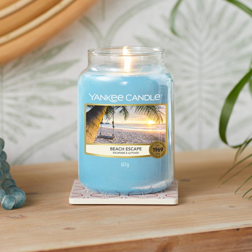 Discover a shady spot under the palms to take in the tranquil ocean view 🌴 With notes of sea air complement florals and woody aromas – the perfect way to reflect on your day in paradise.

#YankeeCandle #TheLastParadise

spr.ly/6013H950W