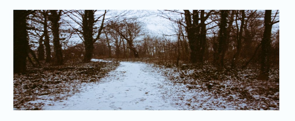 <a href="/Carsarea/">Cars Area</a> have created a #winterwellbeingtrail that explores parks, woods and open spaces in and around Smiths Wood to get people active during #halfterm. Please contact them for a step by step guide of the route and #wildlife activity pack. What will you spot on your walk? 🐿